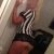 Hatay Antakya escort bayan Melis - Image 1 Hatay Antakya escort bayan Melis - Image 1