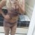 Hatay iskenderun yeni escort Ece - Image 2 Hatay iskenderun yeni escort Ece - Image 2